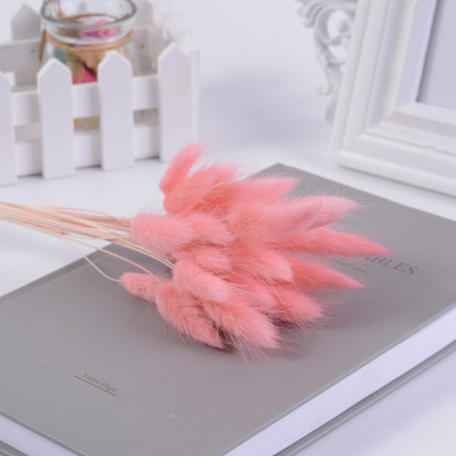 Baby Pink Dried Bunny Tail Grass Bouquet - 30 Pieces