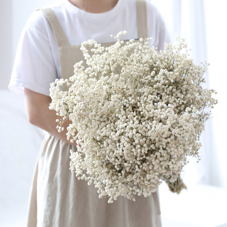 Natural Dried Preserved Flowers - Gypsophila Flower Bouquets