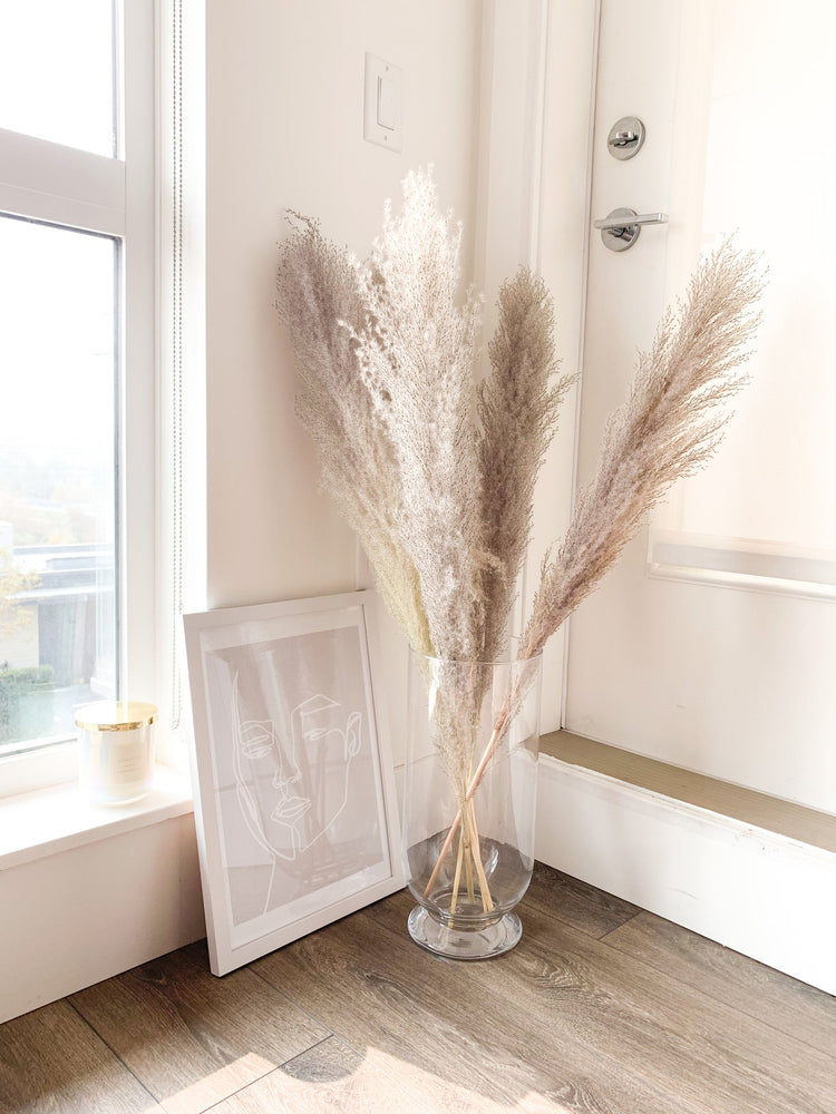 Extra Large Natural Fluffy Pampas Grass For Home and Office Decoration