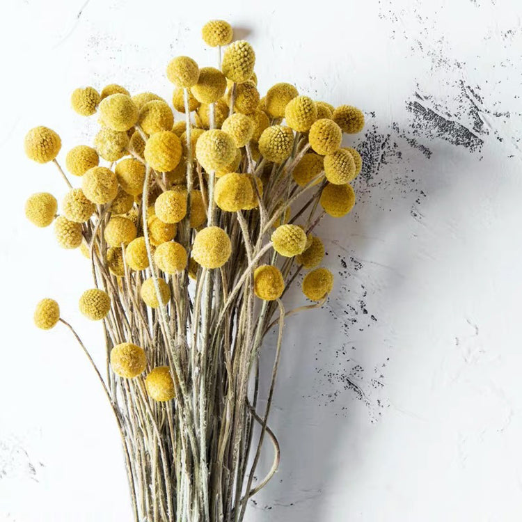 Decorative Yellow Billy Ball Bouquet Flower (35cm)